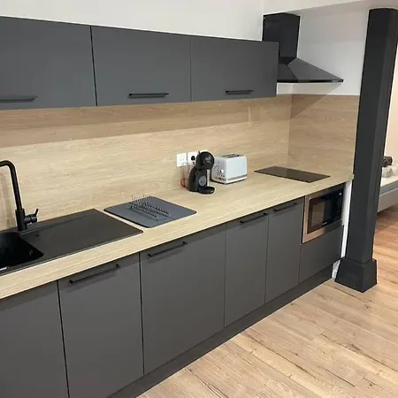 Apartment Centre - Stanislas *
